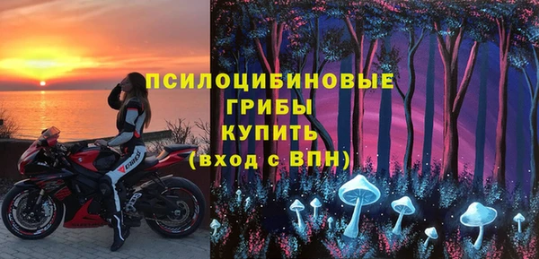 дмт Протвино