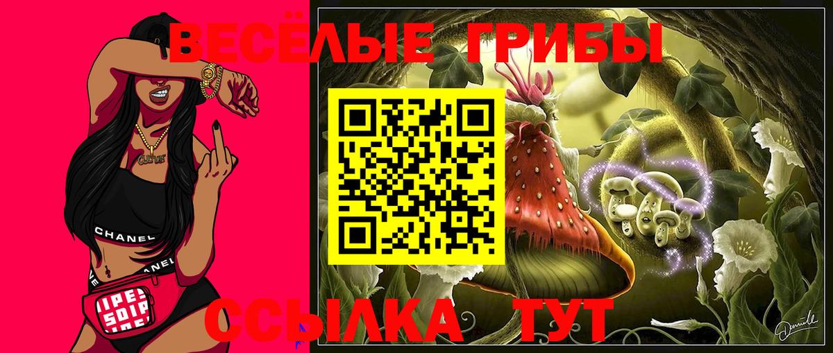 Псилоцибиновые грибы мухоморы  Вход с VPN  Ишим 