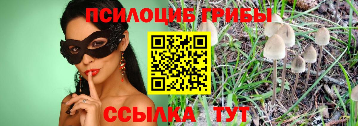 Галлюциногенные грибы Magic Shrooms Ишим